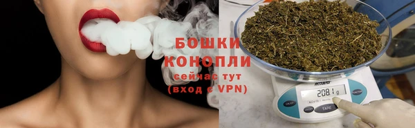 ГАЛЛЮЦИНОГЕННЫЕ ГРИБЫ Белокуриха